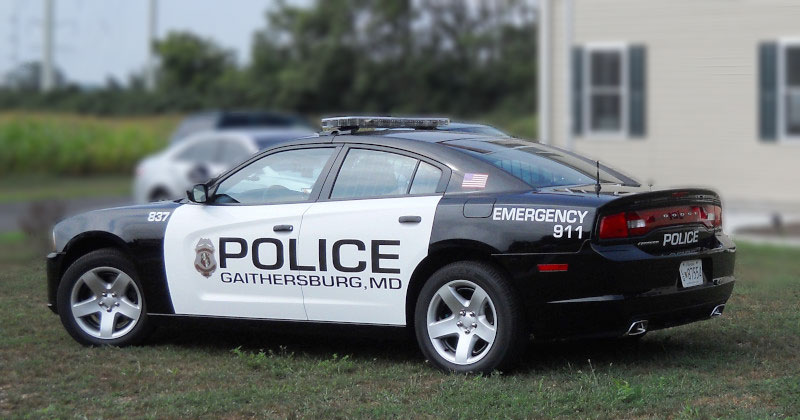police vehicle graphics