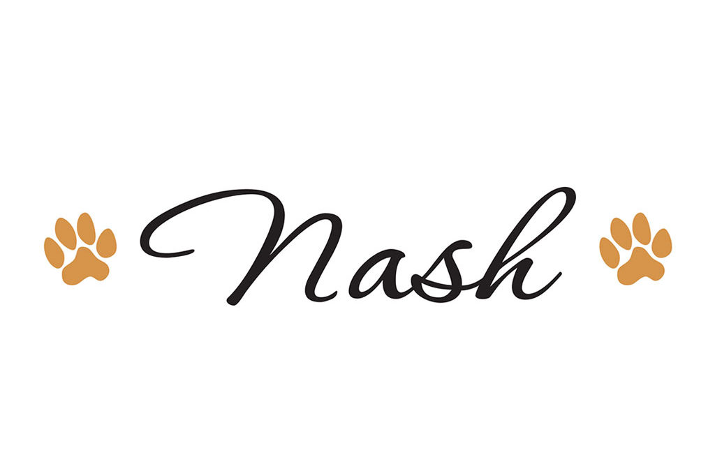 Paw-some Laminated Vinyl Decals for Nash Dog Co.