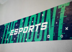 wall vinyl graphic