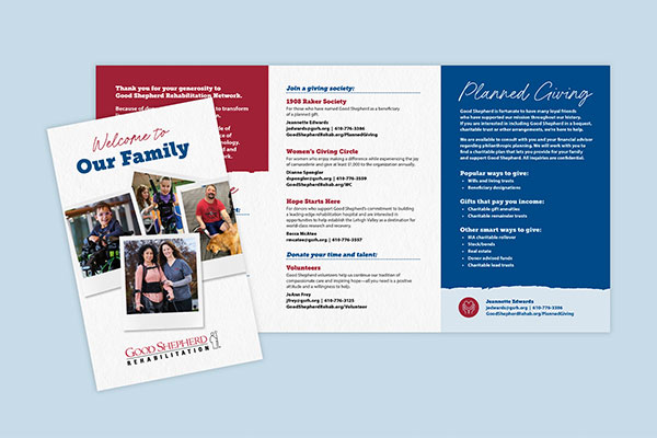 donor brochure